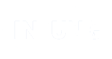 INSUNG HIVINA CO., LTD 